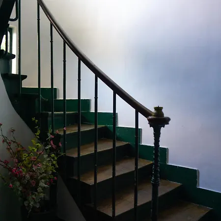 Chlorophylle アルクイユ